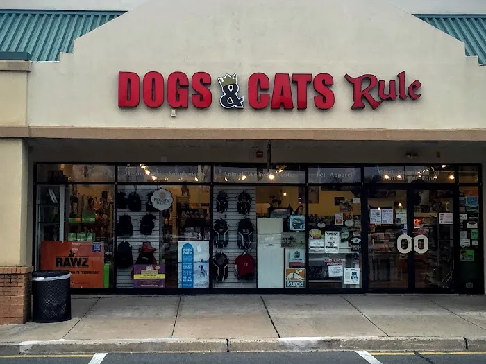 Dogs & Cats Rule Picture 7