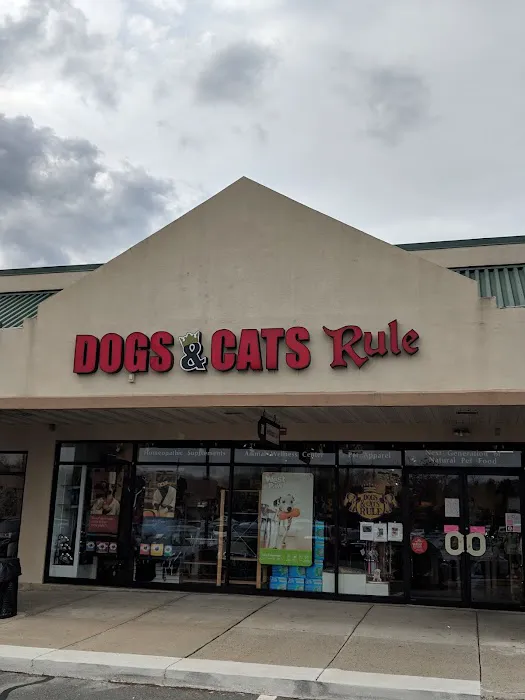 Dogs & Cats Rule Picture 9