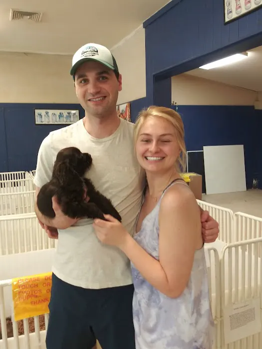 Puppy Palace Picture 10