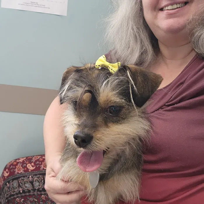 North Penn Animal Hospital Picture 6