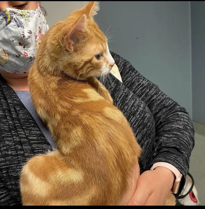 Animal Crackers Veterinary Clinic Picture 1