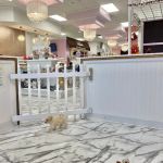 Furrylicious, LLC