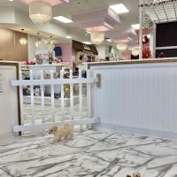 Furrylicious, LLC ico