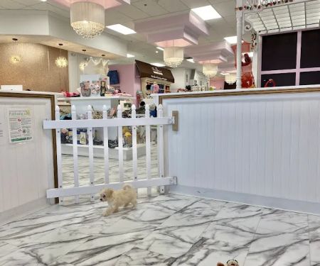 Furrylicious, LLC