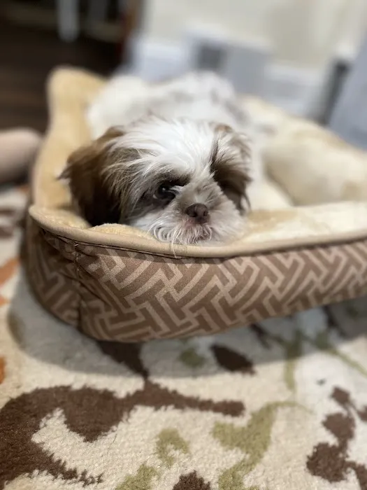 Furrylicious, LLC Picture 5
