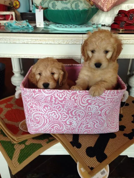 Furrylicious, LLC Picture 9