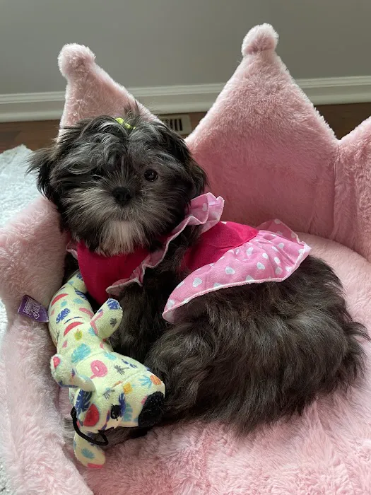 Furrylicious, LLC Picture 8