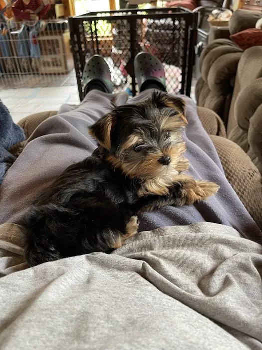 Furrylicious, LLC Picture 10