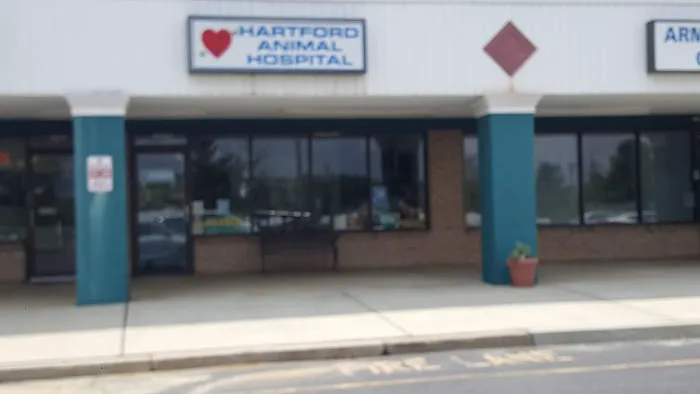 Hartford Animal Hospital Picture 1