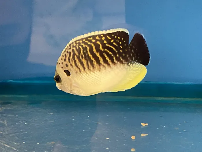 First Choice Aquatics Picture 3