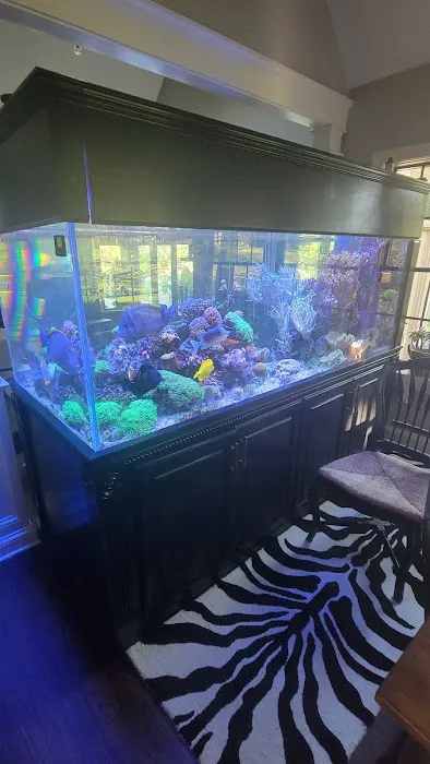 First Choice Aquatics Picture 1