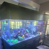 First Choice Aquatics ico