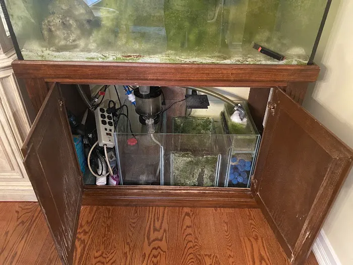 First Choice Aquatics Picture 6
