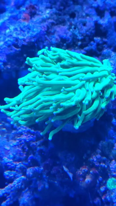 First Choice Aquatics Picture 10