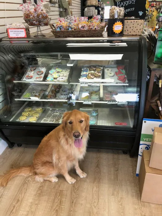 Well Bred - The Healthy Pet Marketplace & DOG GROOMERS Picture 1