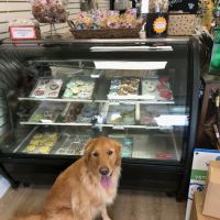 Well Bred - The Healthy Pet Marketplace & DOG GROOMERS ico