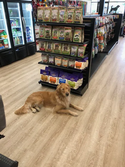 Well Bred - The Healthy Pet Marketplace & DOG GROOMERS Picture 8