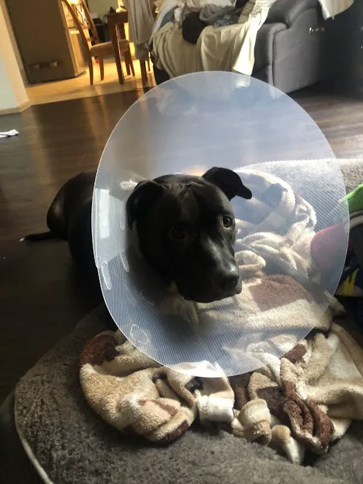 Thrive Pet Healthcare - Sicklerville Picture 1