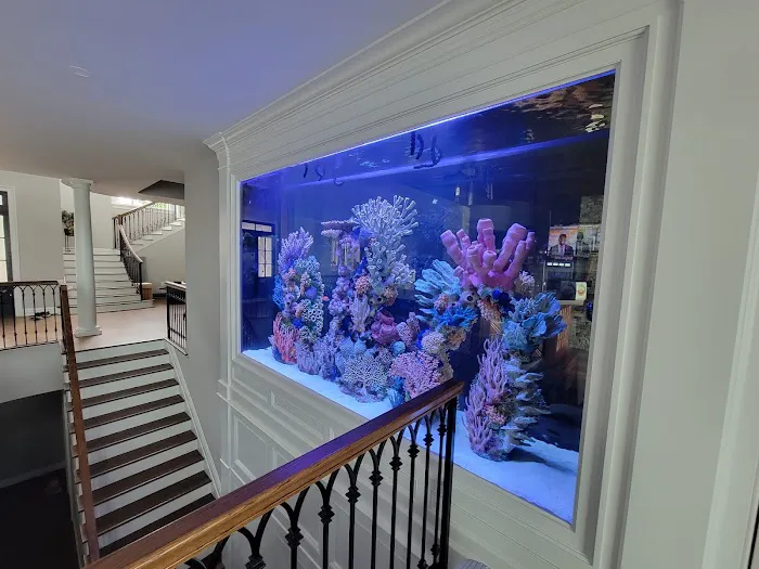 Aqua Creations I Custom Aquariums and Maintenance Picture 4