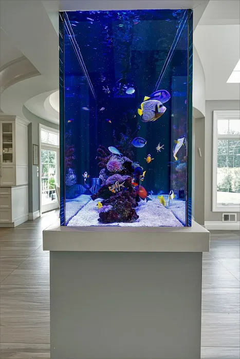 Aqua Creations I Custom Aquariums and Maintenance Picture 10