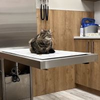 Pet Check Urgent Care ico