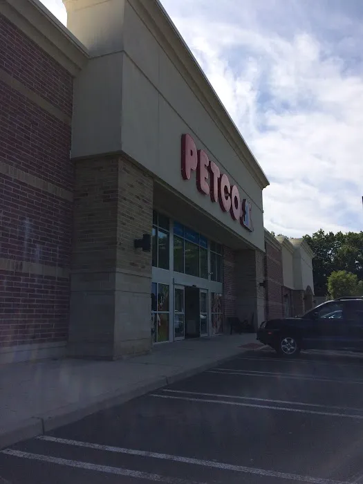 Petco Picture 2