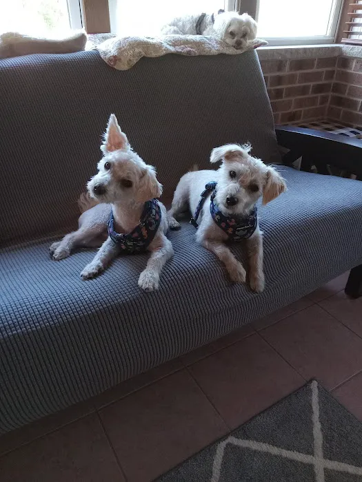 Petco Picture 4