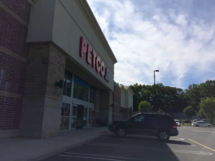 Petco Picture 8