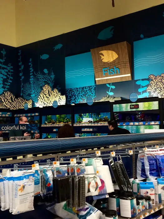 Petco Picture 9