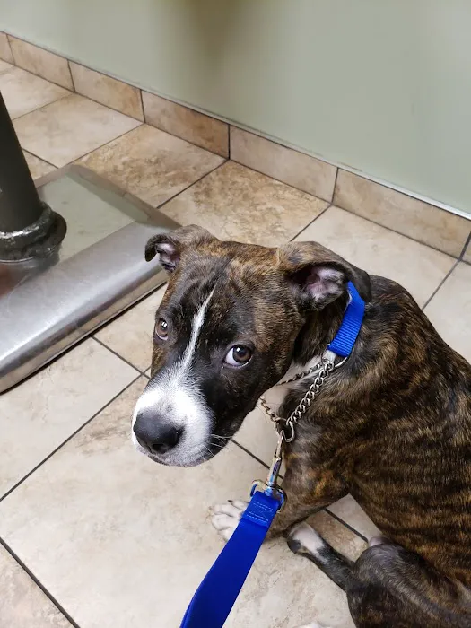 Cross Keys Animal Hospital Picture 5