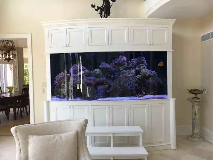 CTC Custom Aquariums Picture 1