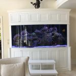 CTC Custom Aquariums