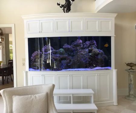 CTC Custom Aquariums