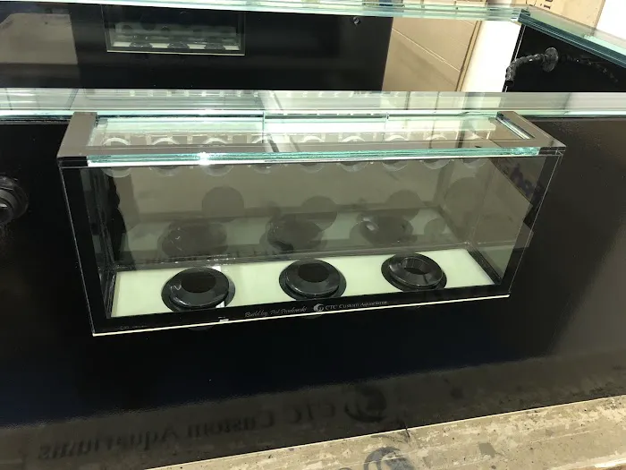 CTC Custom Aquariums Picture 2