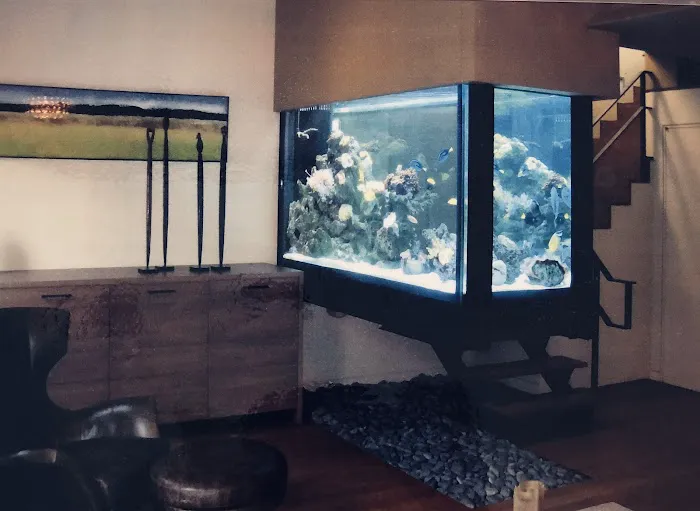 CTC Custom Aquariums Picture 7