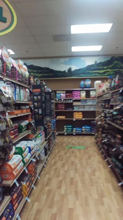 Petco Picture 3