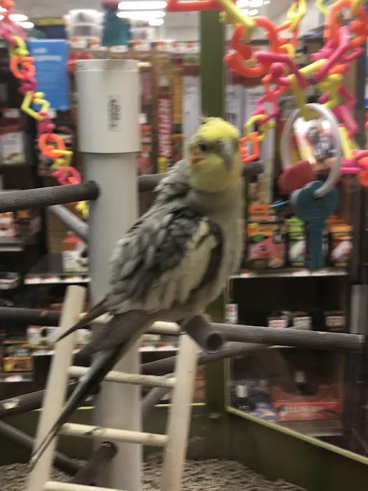 Petco Picture 8