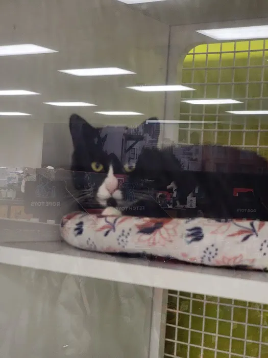 Petco Picture 6