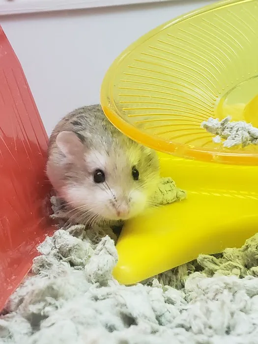 Petco Picture 5