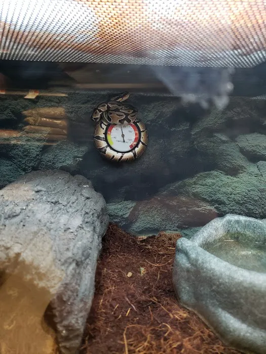Petco Picture 9
