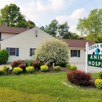 Cedar Brook Animal Hospital ico