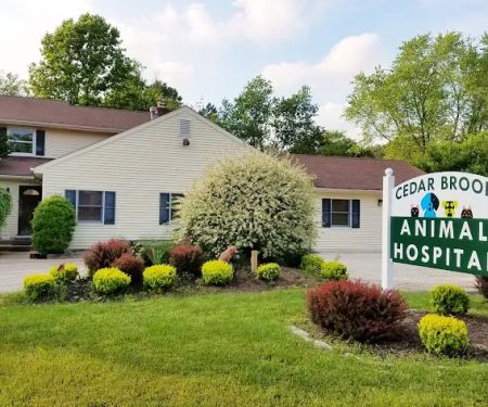 Cedar Brook Animal Hospital
