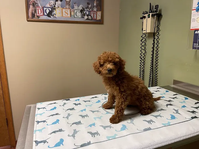 Cedar Brook Animal Hospital Picture 3