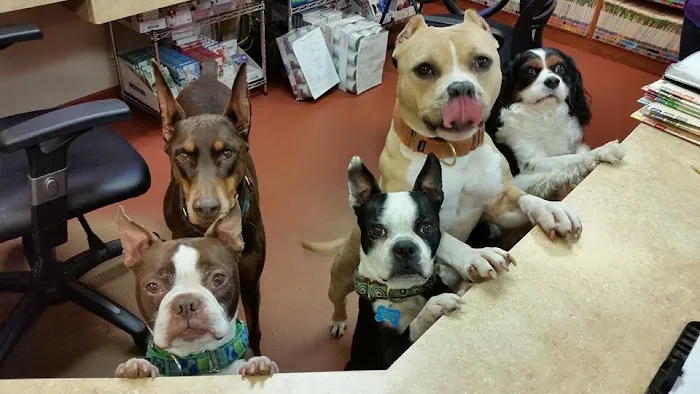 Cedar Brook Animal Hospital Picture 2