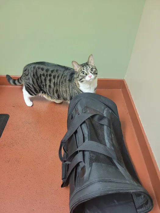 Cedar Brook Animal Hospital Picture 8
