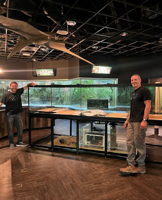 JK-Fish Picture 1