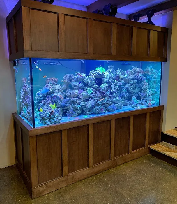 JK-Fish Picture 6