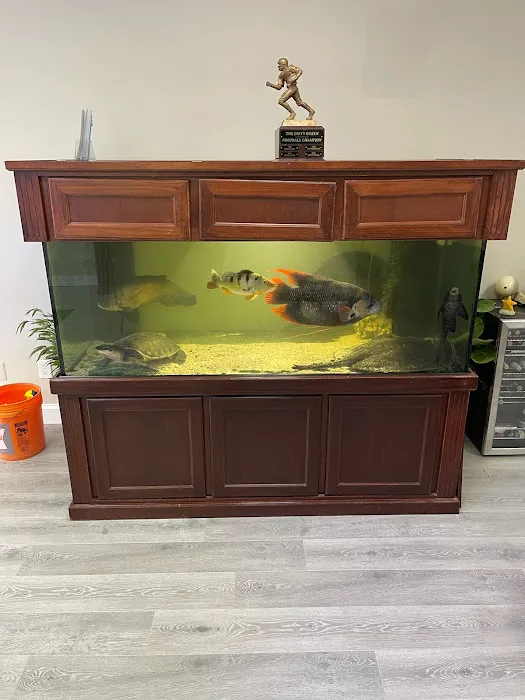 JK-Fish Picture 7