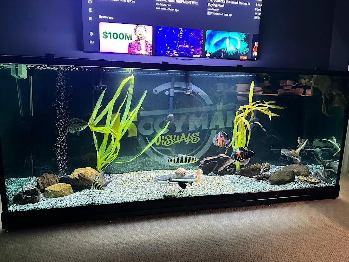 JK-Fish Picture 10