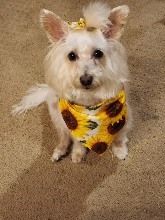 VCA Winslow Animal Hospital Picture 2